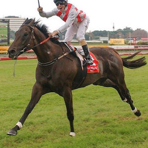 Image post by @australianturfclub on Instagram