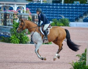 Image post by @gracescreative on Instagram