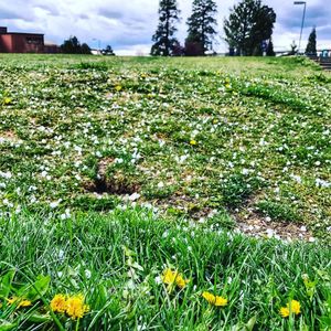 Image post by @nauflagstaff on Instagram