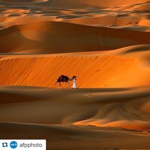 Image post by @gettyimages on Instagram