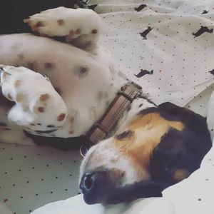 Image post by @hollysmee on Instagram