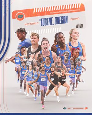 Image post by @gatorstf on Instagram