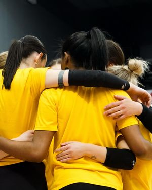 Image post by @mizzouvb on Instagram