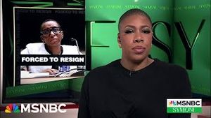 Video post by @msnbc on YouTube