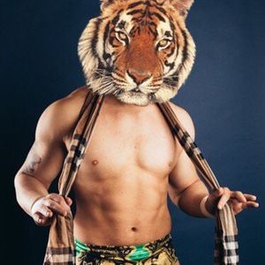 Image post by @the_mjf on Instagram
