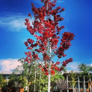 Image post by @nauflagstaff on Instagram