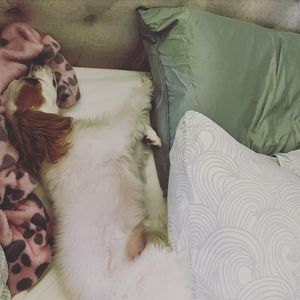 Image post by @lifesadiscoball on Instagram
