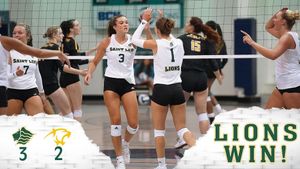 Image post by @saintleolions on Instagram
