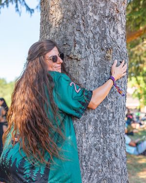 Image post by @electric_forest on Instagram