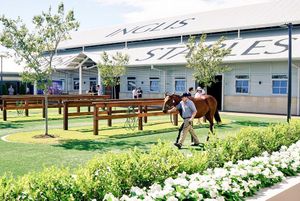 Image post by @australianturfclub on Instagram