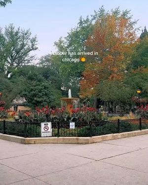 Image post by @chicago.explore on Instagram