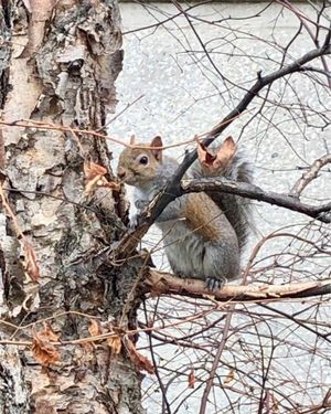 Image post by @vanderbiltu on Instagram