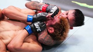 Image post by @ufc on Twitter