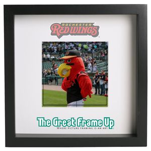 Image post by @rocredwings on Instagram