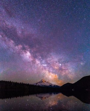 Image post by @thrillist on Instagram