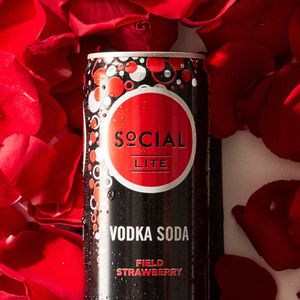Image post by @sociallitevodka on Instagram