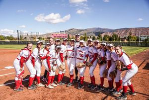 Image post by @suusoftball on Instagram