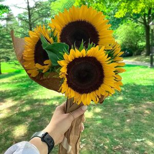 Image post by @fitbit on Instagram