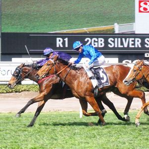 Image post by @australianturfclub on Instagram