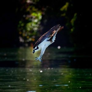 Image post by @discovery on Instagram