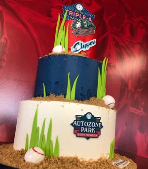 Image post by @memphisredbirds on Instagram