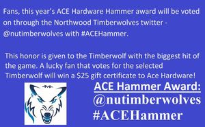 Image post by @nutimberwolves on Instagram
