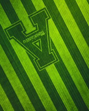 Image post by @wyethco on Instagram