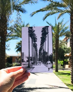 Image post by @asu_alumni on Instagram