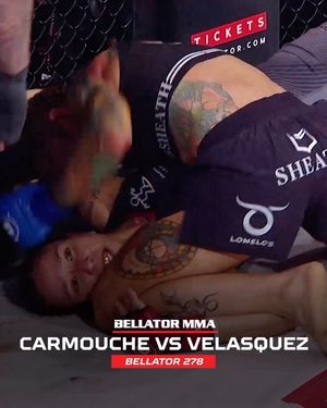 Image post by @bellatormma on Instagram