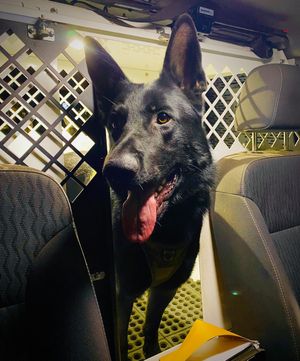 Image post by @vcsheriff on Instagram