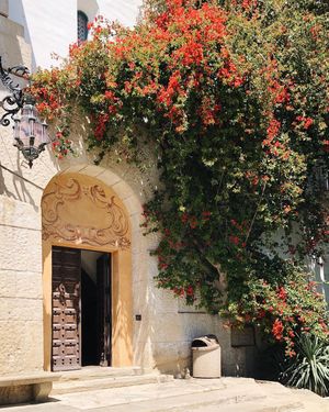 Image post by @zofeeagenota on Instagram