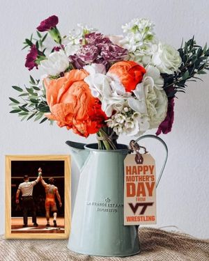 Image post by @hokieswrestling on Instagram