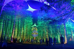 Image post by @electric_forest on Instagram