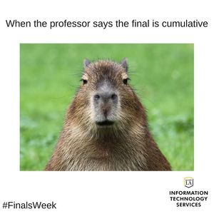 Image post by @mycalstatela on Instagram