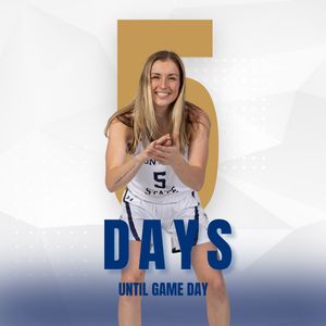 Image post by @msubobcatswbb on Instagram