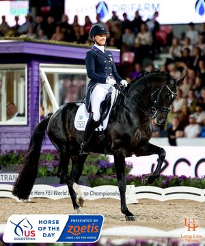 Image post by @usequestrian on Instagram