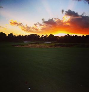 Image post by @lukedonald on Instagram