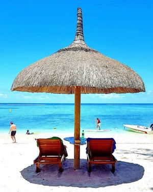 Image post by @hiltonhotels on Instagram