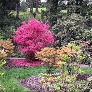 Image post by @residencesatbiltmore on Instagram