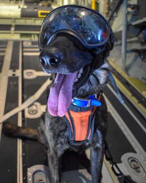 Image post by @airforcespecialtactics on Instagram