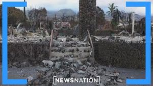 Video post by @newsnation on YouTube