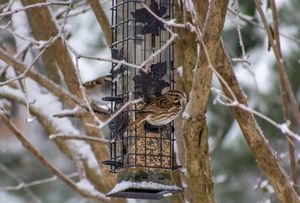 Image post by @valley_.photography on Instagram