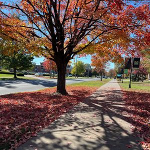 Image post by @marshallulife on Instagram