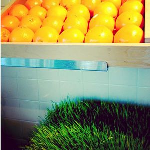 Image post by @jambajuice on Instagram