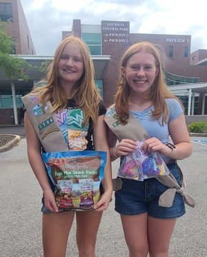 Image post by @girlscouts on Instagram