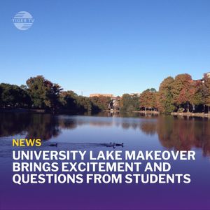 Image post by @lsutigertv on Instagram