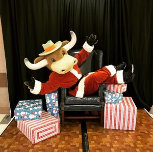 Image post by @utexasspirit on Instagram