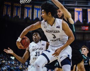 Image post by @montanastatebobcats on Instagram