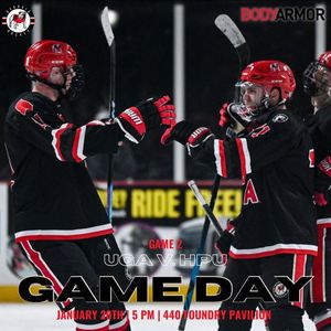 Image post by @ugahockeyd3 on Twitter