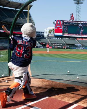 Image post by @wildwingana on Instagram